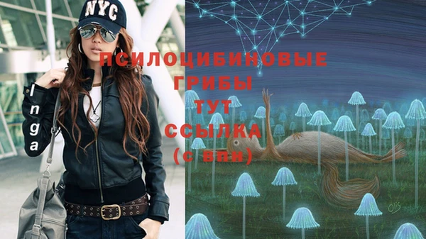 эйфоретик Дмитров